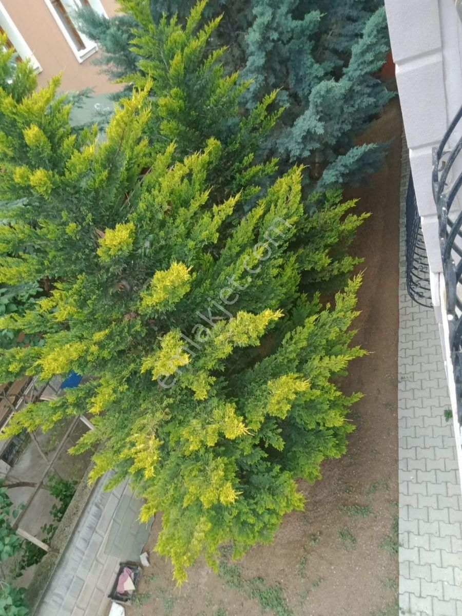 Erenköy'de 700m2 Arsa İçinde 2 Katlı Müstakil Ev (arsa Parasına) - Görsel 24