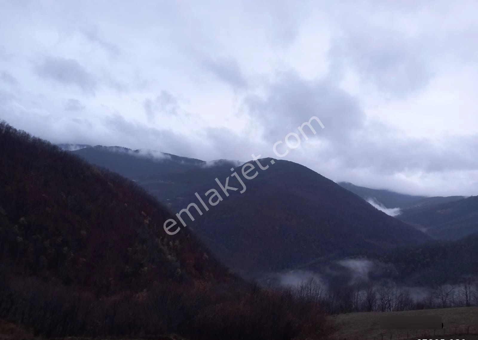 Aytaş Emlaktan Asarcık Yarımcada Satılık 27,5 Dönüm Tarla - Görsel 11