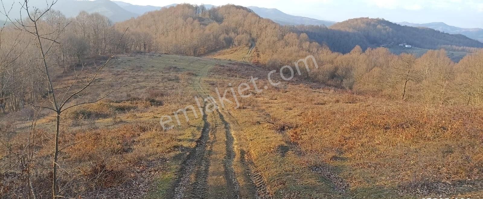 Aytaş Emlaktan Asarcık Yarımcada Satılık 27,5 Dönüm Tarla - Görsel 3