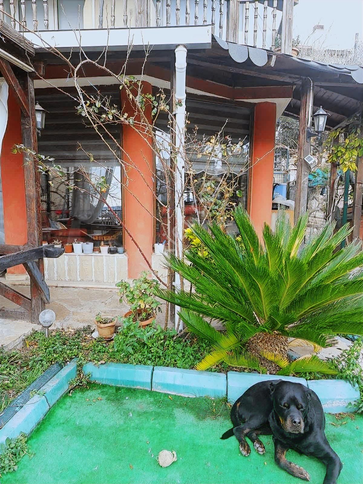 Olay Emlaktan 4+2 Triplex Villa 9.500.000 Tl - Görsel 30