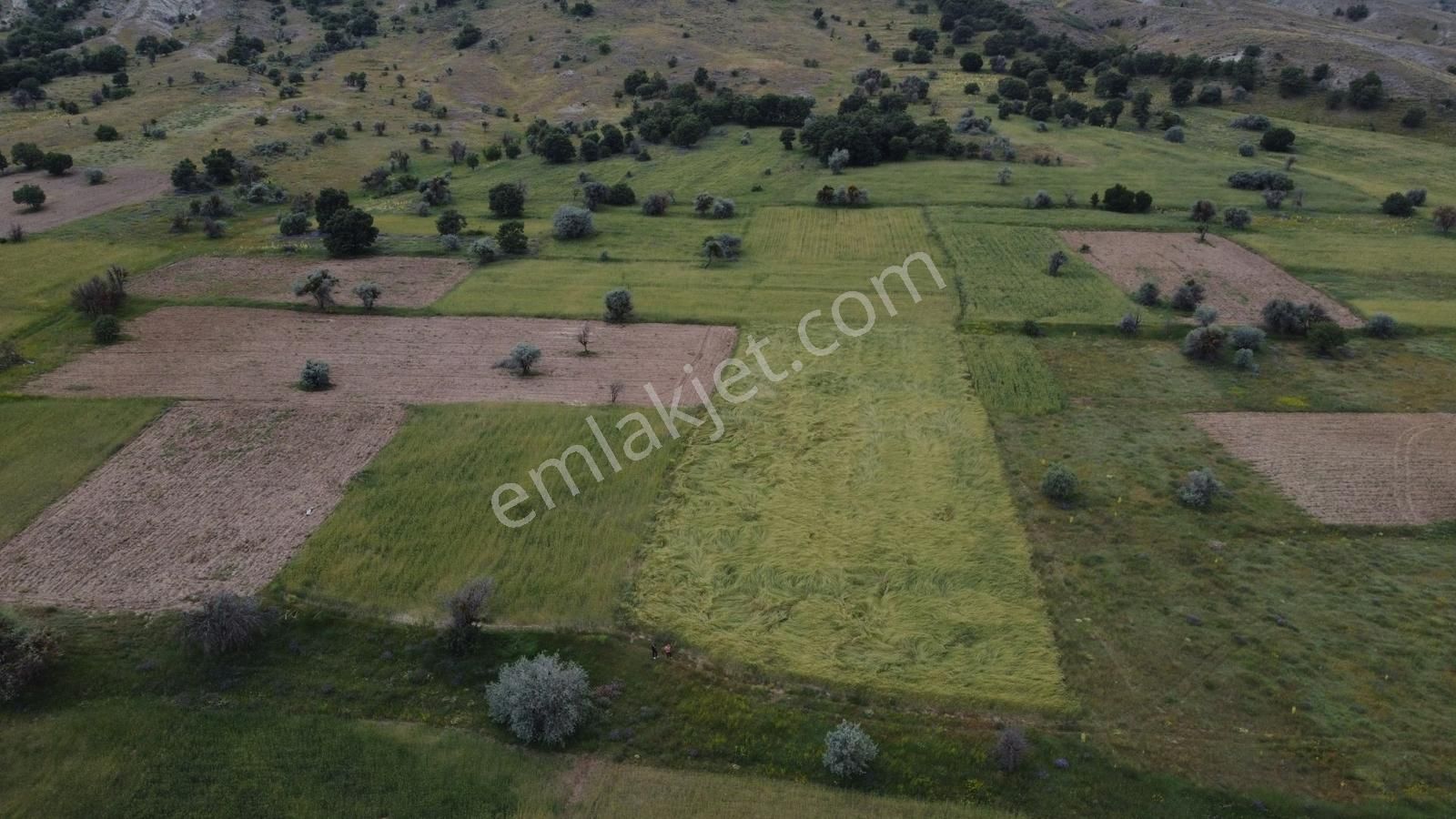 Çevre Yol Dibi İnlice'de 5.606 M² Müstakil Tarla Fiyat Düştü - Görsel 15