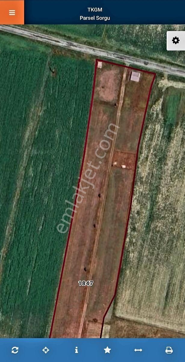 Lüleburgaz Yatırımlık Arazi - Görsel 8
