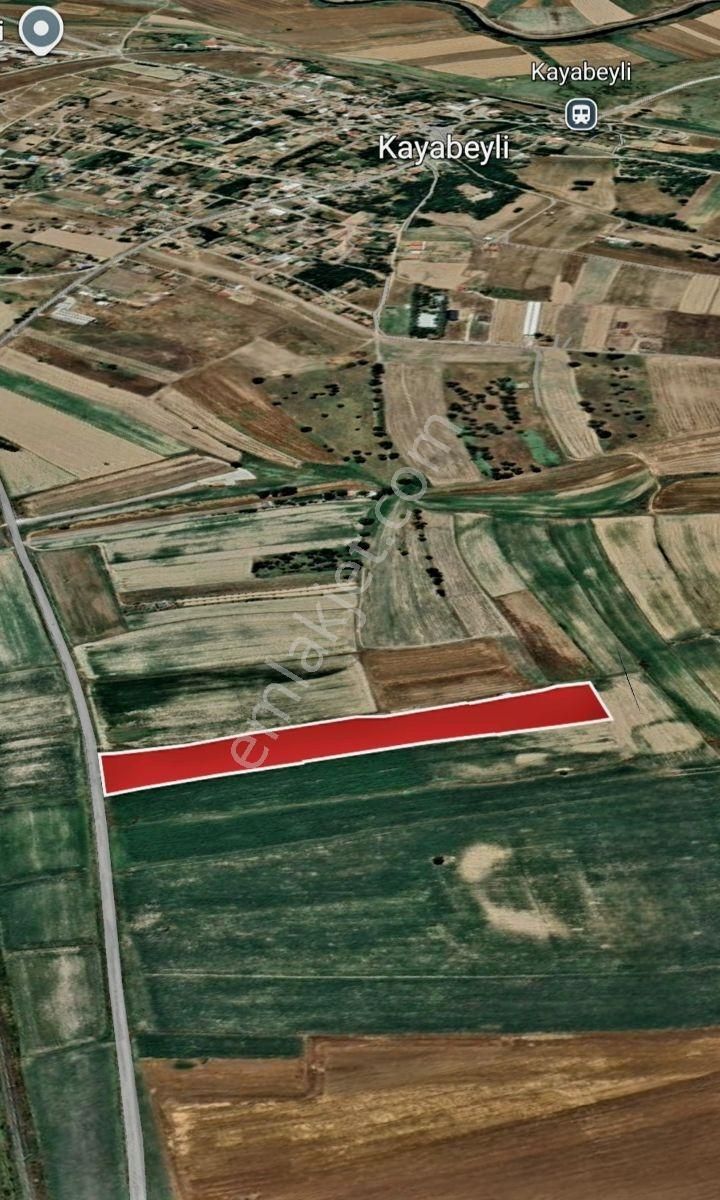 Lüleburgaz Yatırımlık Arazi - Görsel 5