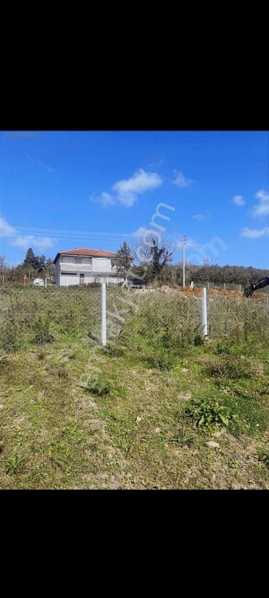 Sakarya Kaynarca Turnalıda %40 İmarlı 603m2 Satılık Arsa - Görsel 4