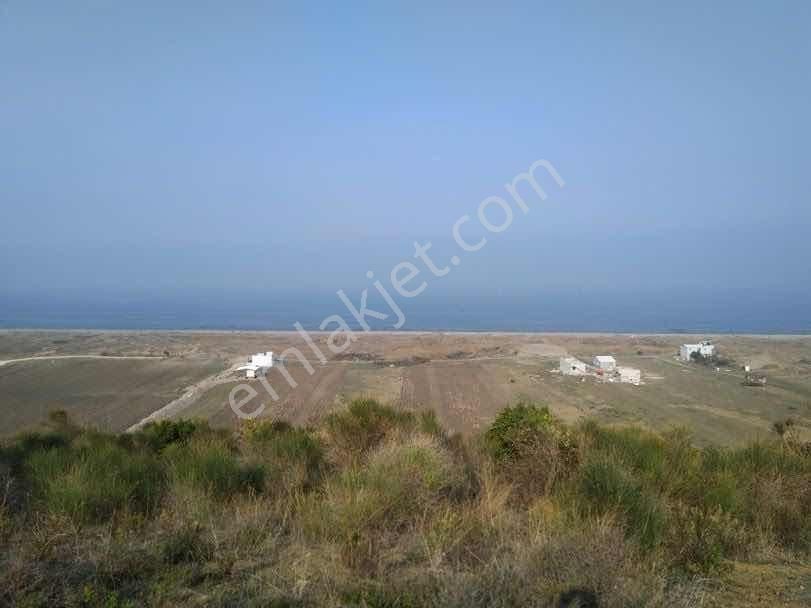 Mudanya Mesudiye De Deniz Manzaralı Yerleşime Yakın Zeytinlik