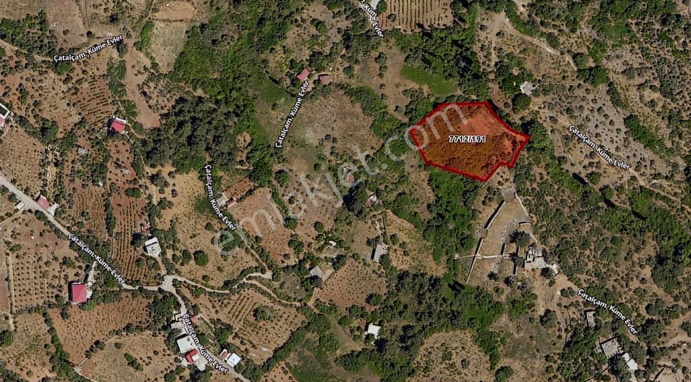 Afm Gayrimenkul'den Kılavuzlu'da Fırsat Bağ Yeri - Görsel 4