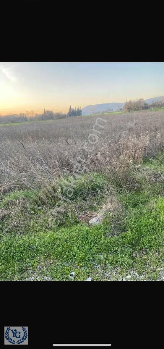 Karamürsel İnebeylide Satılık Tek Tapu - Görsel 9