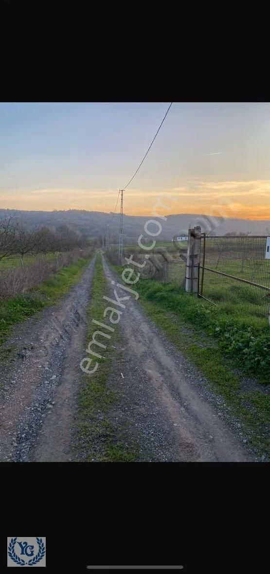Karamürsel İnebeylide Satılık Tek Tapu - Görsel 3