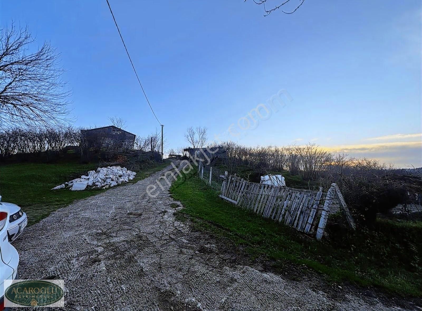 Karasu Üçoluk 16.344 M² Fındık Bahçesi + 3+1 Müstakil Köy Evi - Görsel 25