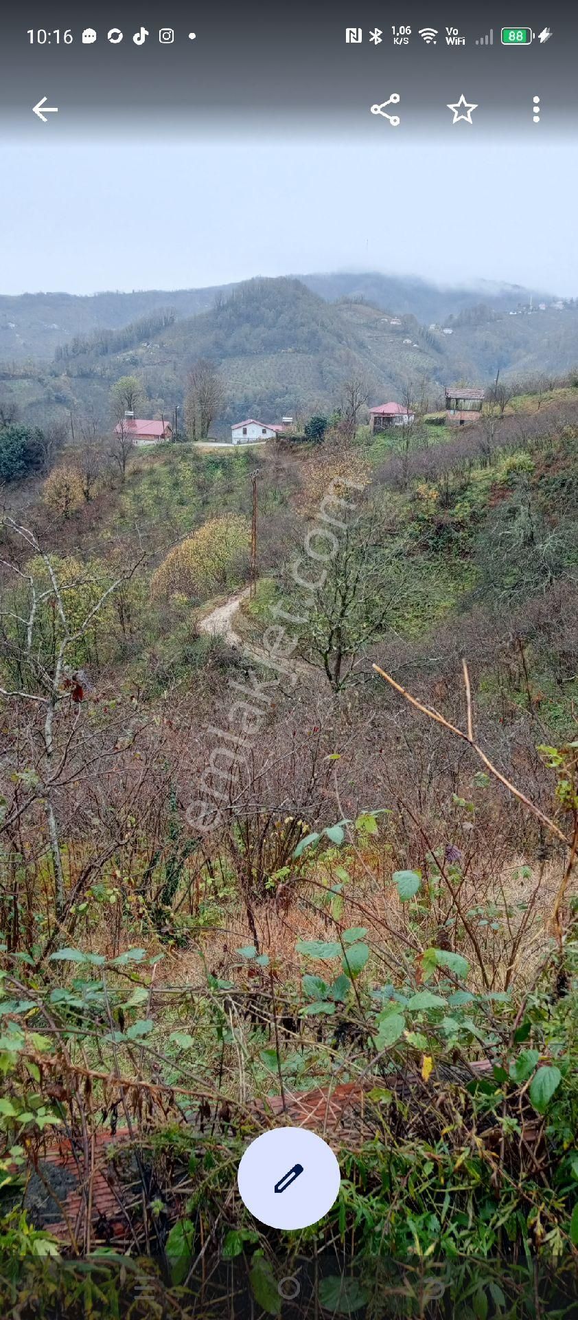 Perşembe Ortatepe Köyünde Üzerinde Ev Olan Fındık Bahçeli Arazi Satılık - Görsel 4