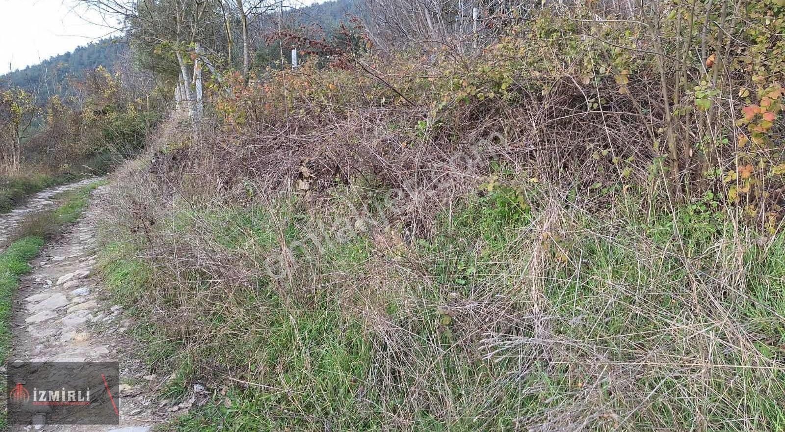 Satılık Hobi Bahçesi Sakarya Geyve Okul Bölgesi - Görsel 2