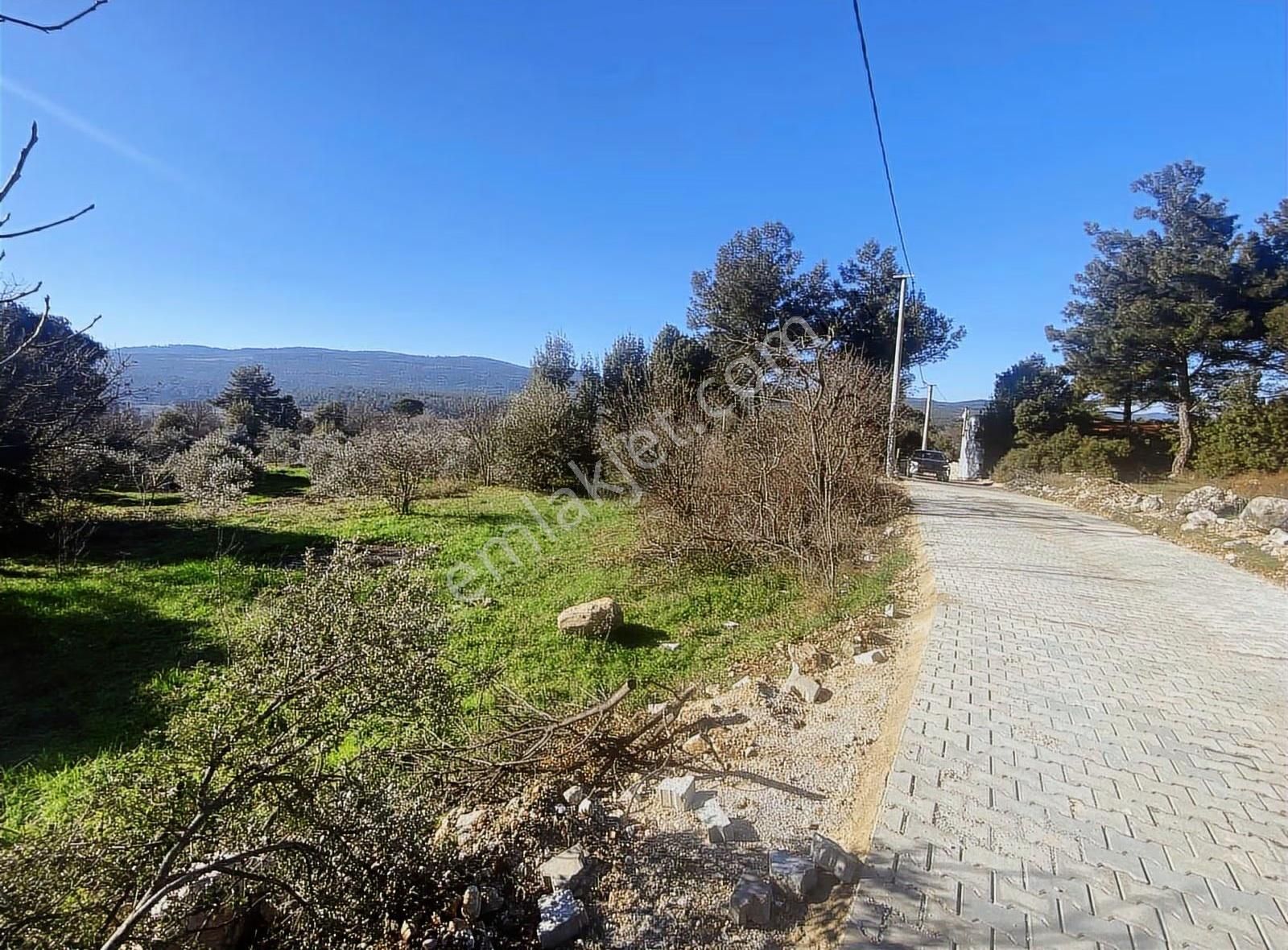 Muğla Yaraşta Manzaralı Harika Satılık Arsa - Görsel 2