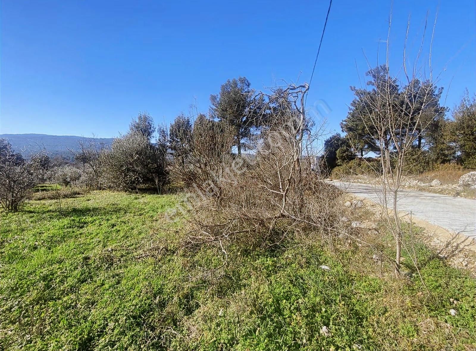 Muğla Yaraşta Manzaralı Harika Satılık Arsa - Görsel 11