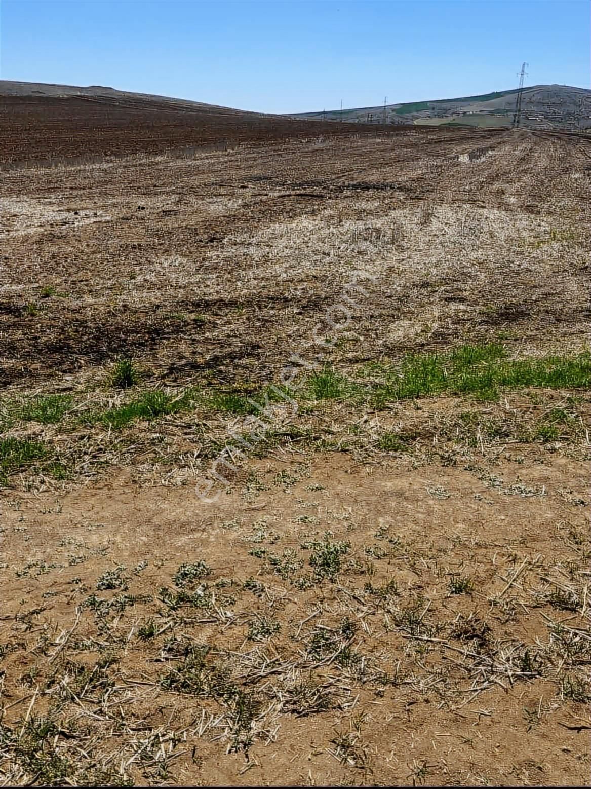 Millet Bahçesi Yanında Beğendik Evlerine Yakın Satılık Tarla - Görsel 16