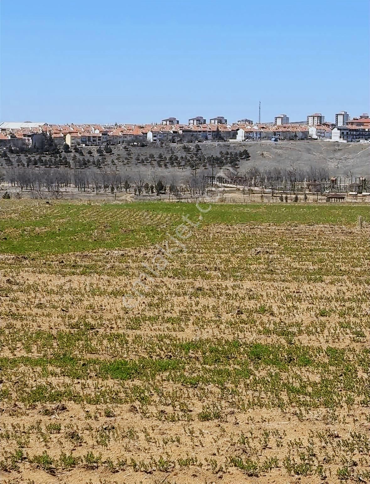 Millet Bahçesi Yanında Beğendik Evlerine Yakın Satılık Tarla - Görsel 21