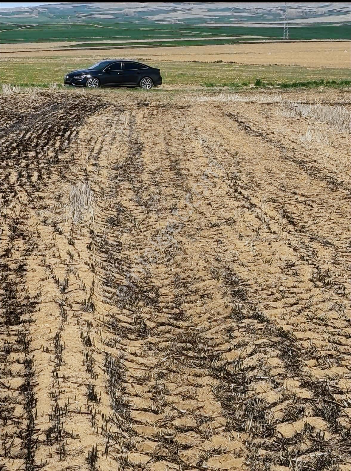 Millet Bahçesi Yanında Beğendik Evlerine Yakın Satılık Tarla - Görsel 10