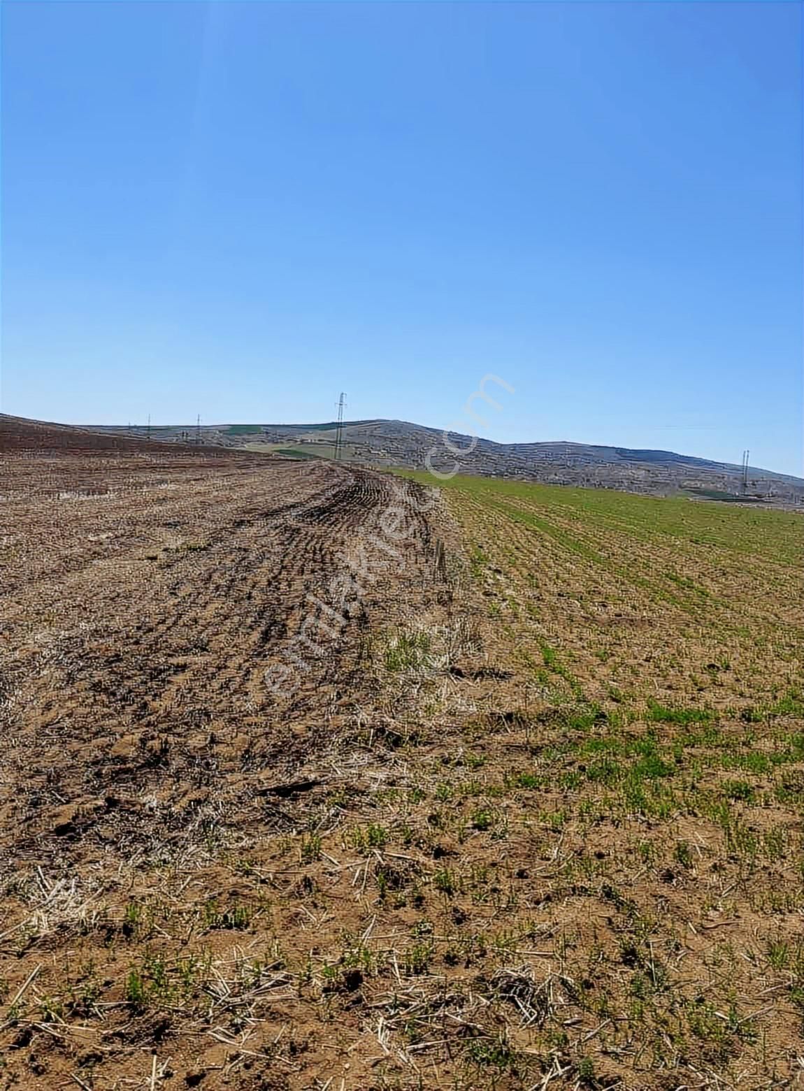 Millet Bahçesi Yanında Beğendik Evlerine Yakın Satılık Tarla - Görsel 20
