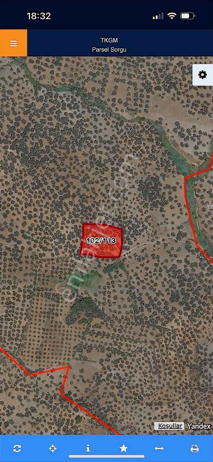 Tepeoba Mah 3.463. M2 Satılık Zeytinlik