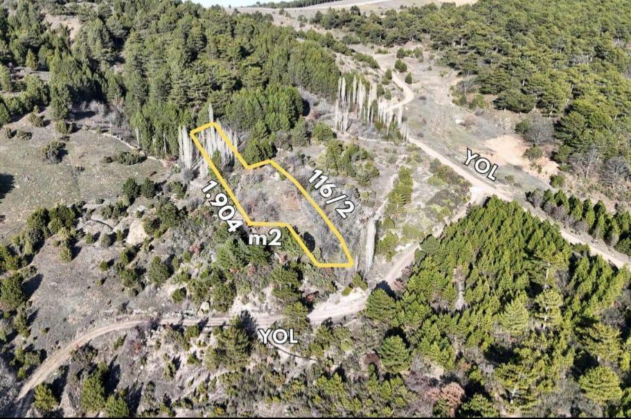 Bölgenin En Uygun Arazisi Yatırımlık 2 Dönüm Tek Tapu Sr250 Takaslı - Görsel 4