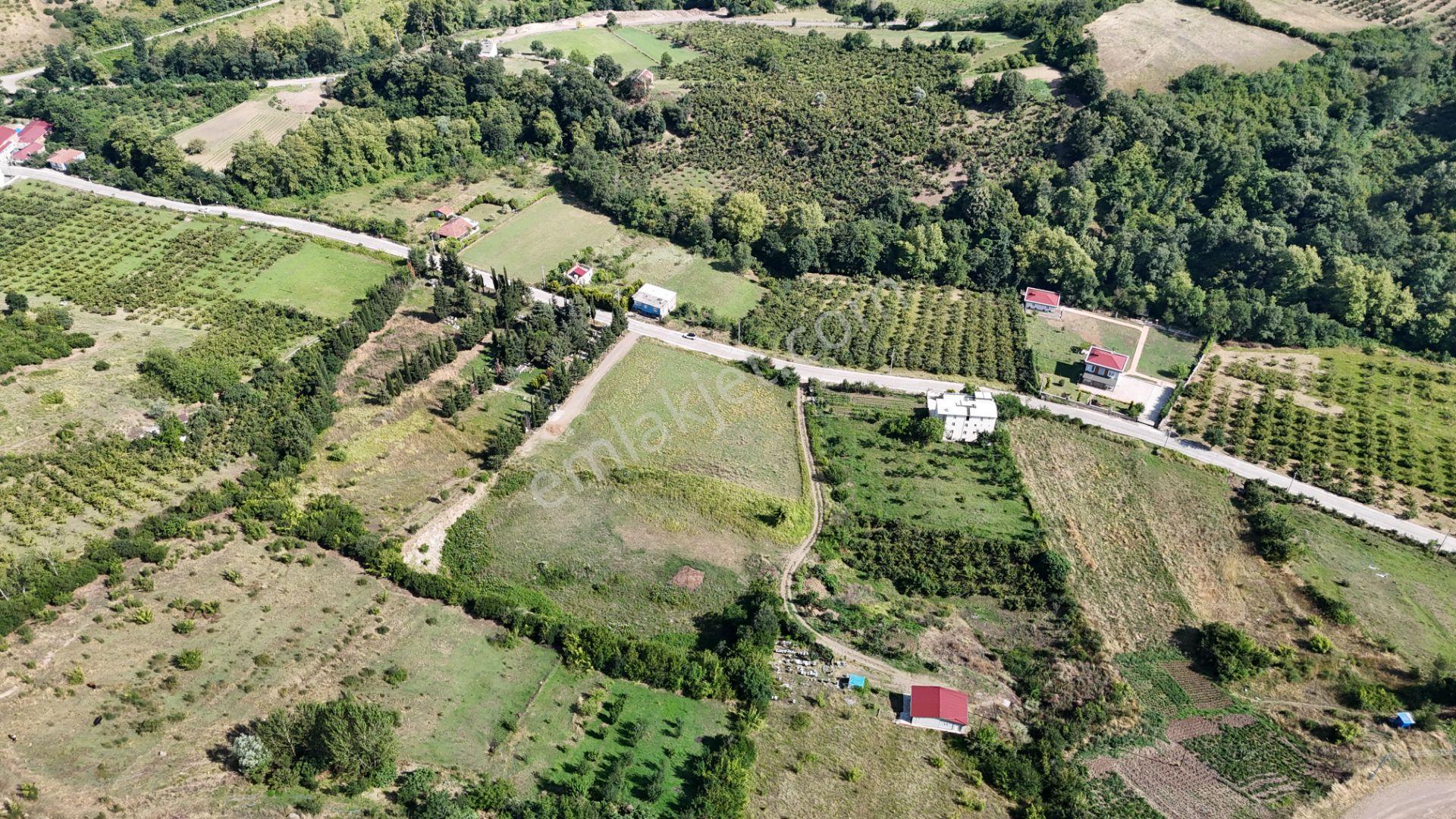 Taflanda Asfalt Yola Cephe 12.5 Dönüm Tarla