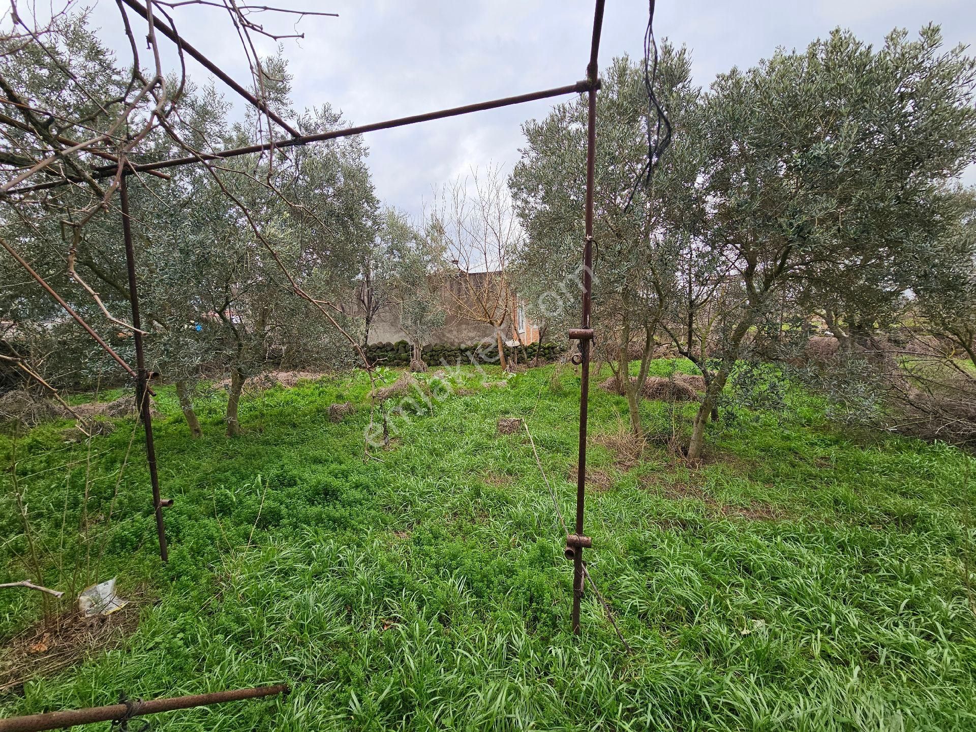 Gönen Bostancı Mh.satılık Müstakil Köy Evimiz - Görsel 32