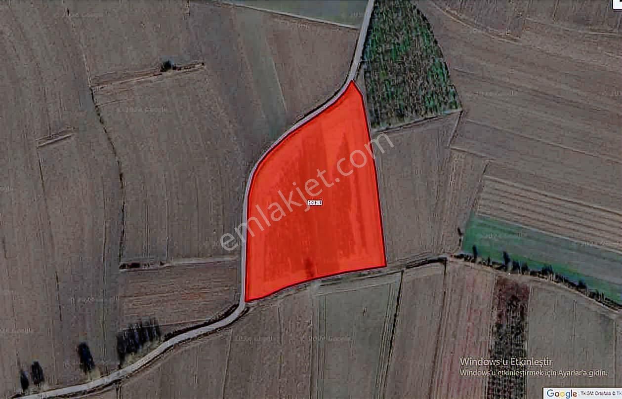 Sakarya Söğütlü 17 Dönüm Arazi - Görsel 9