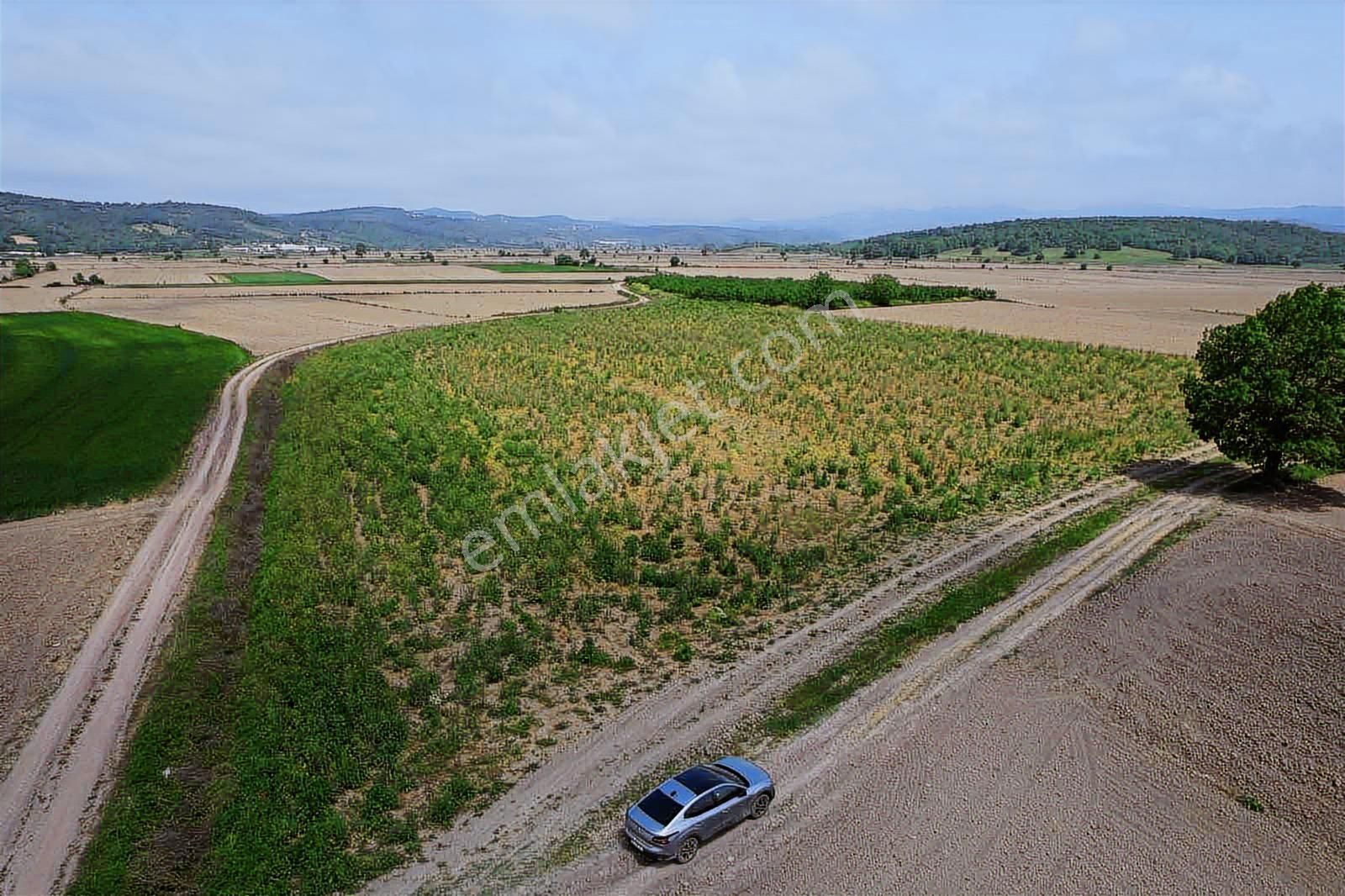 Sakarya Söğütlü 17 Dönüm Arazi - Görsel 8