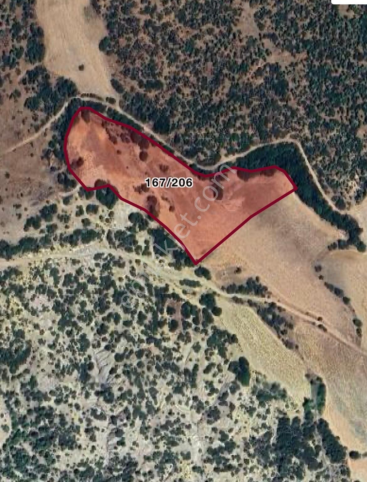 Satılık Tarım Arazisi