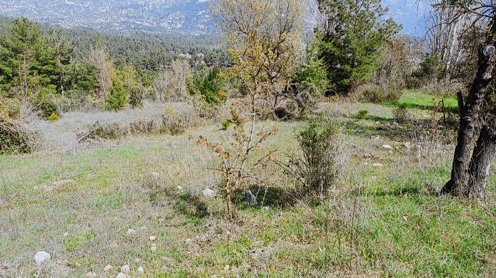 Akseki Hocaköy De Tek Tapu Satılık Bahçe - Görsel 9