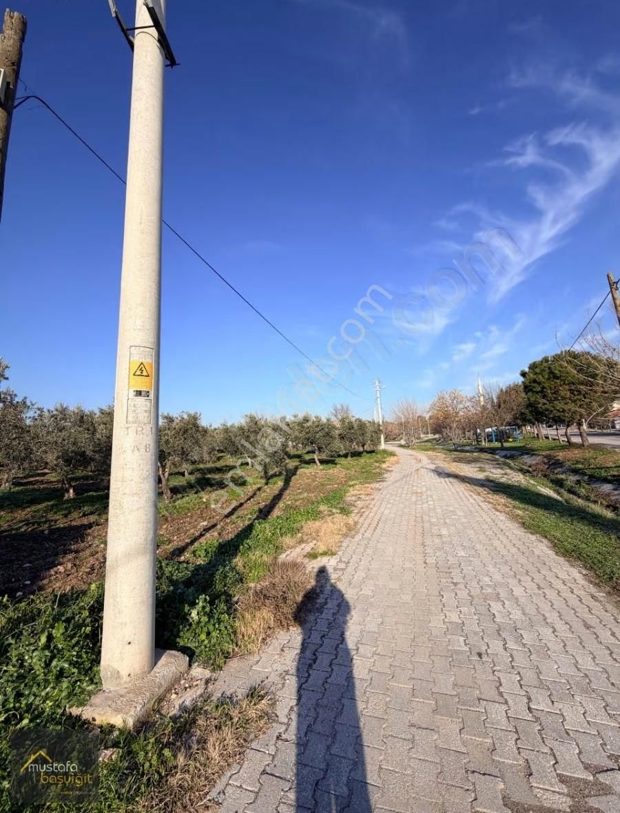 Mustafa Başyiğit Emlak'tan Doğuca Köyünde 2905 M2 İmarlı Arsa - Görsel 9