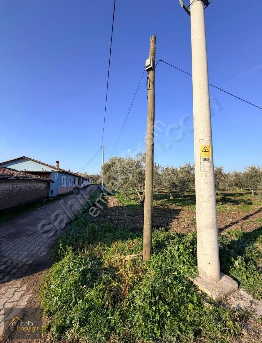 Mustafa Başyiğit Emlak'tan Doğuca Köyünde 2905 M2 İmarlı Arsa - Görsel 2