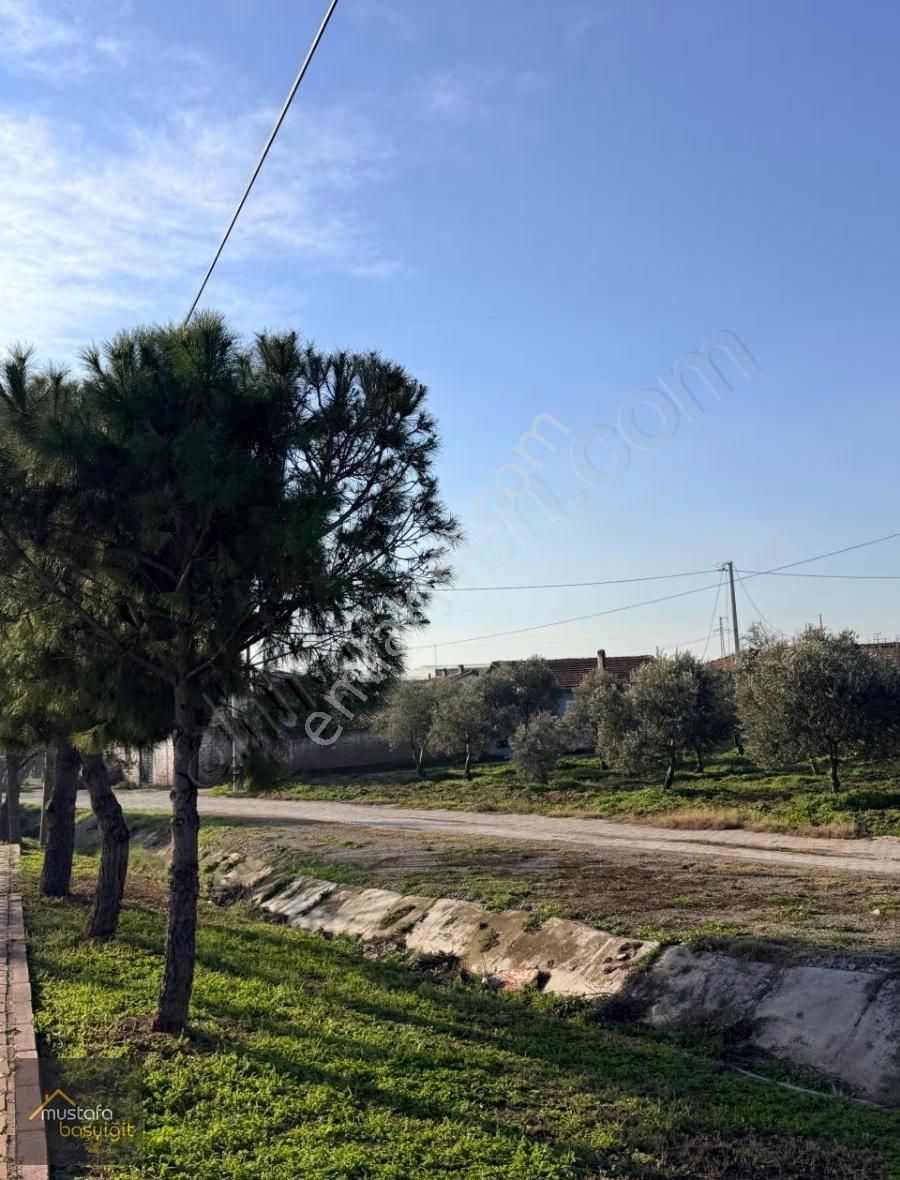 Mustafa Başyiğit Emlak'tan Doğuca Köyünde 2905 M2 İmarlı Arsa - Görsel 6