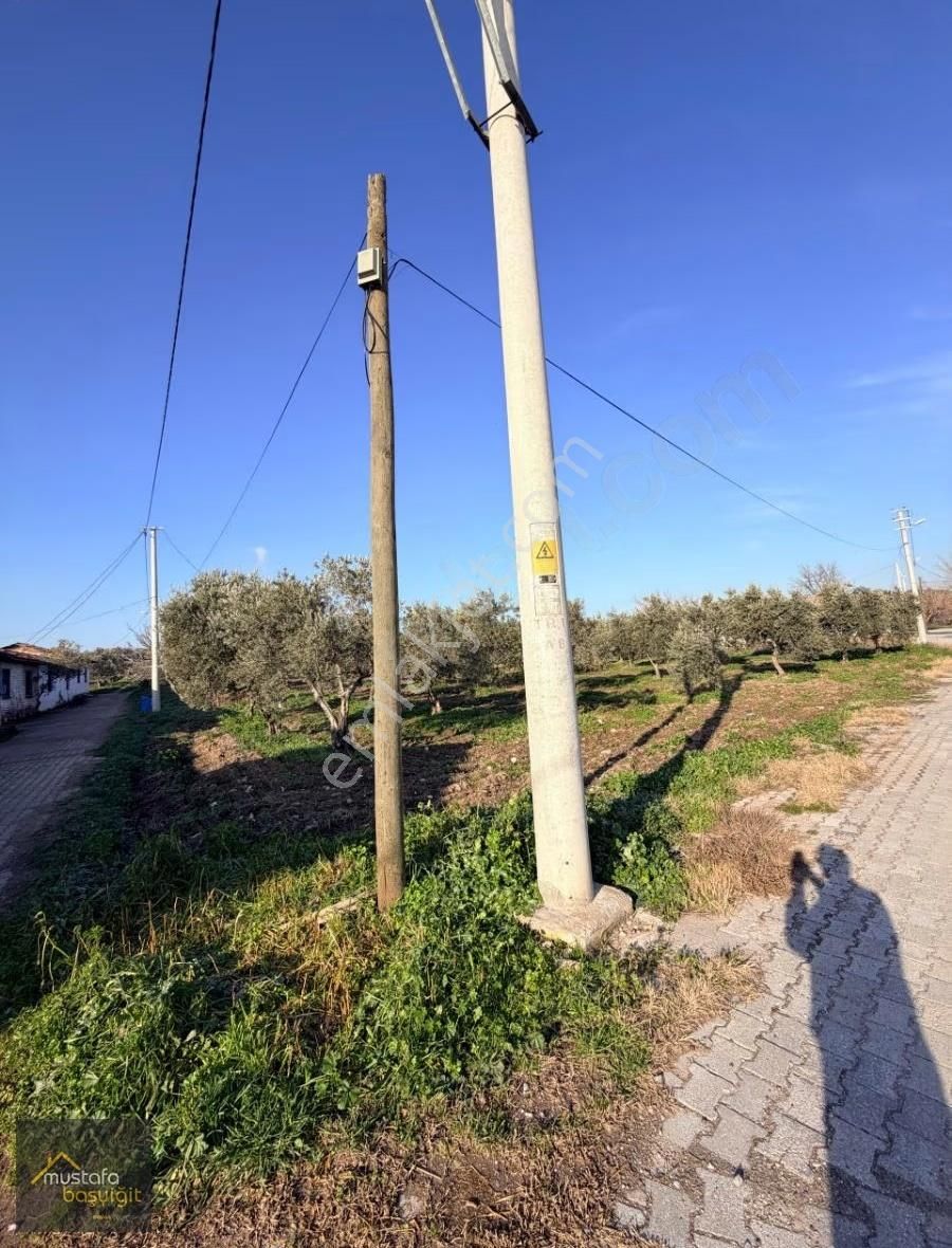 Mustafa Başyiğit Emlak'tan Doğuca Köyünde 2905 M2 İmarlı Arsa - Görsel 3
