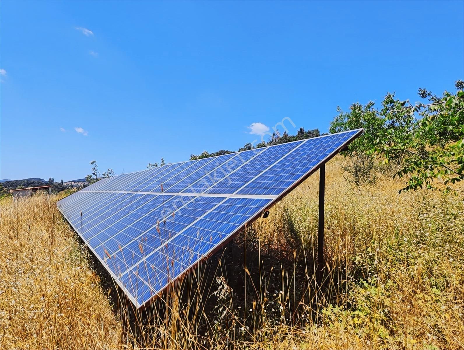 Çanakkale Lapseki Karamusalar Satılık 143 Dönüm Tarla. - Görsel 15