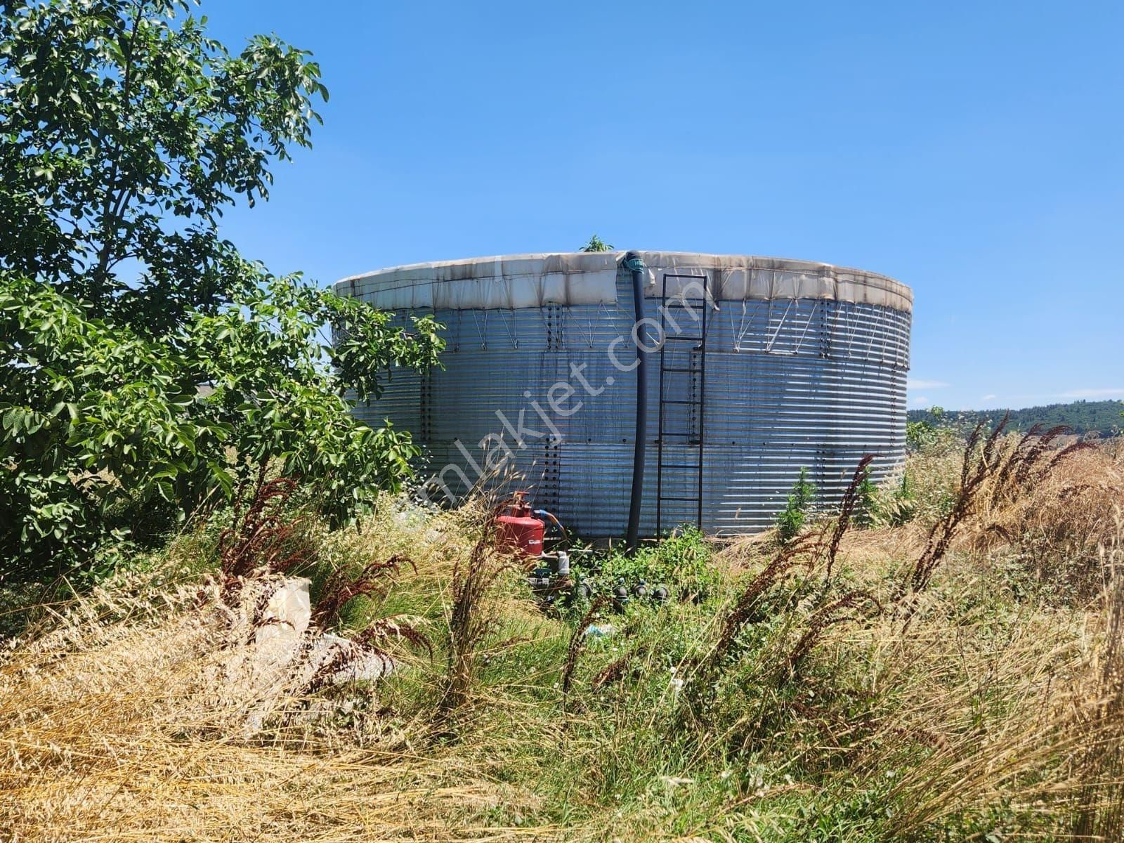 Çanakkale Lapseki Karamusalar Satılık 143 Dönüm Tarla. - Görsel 11
