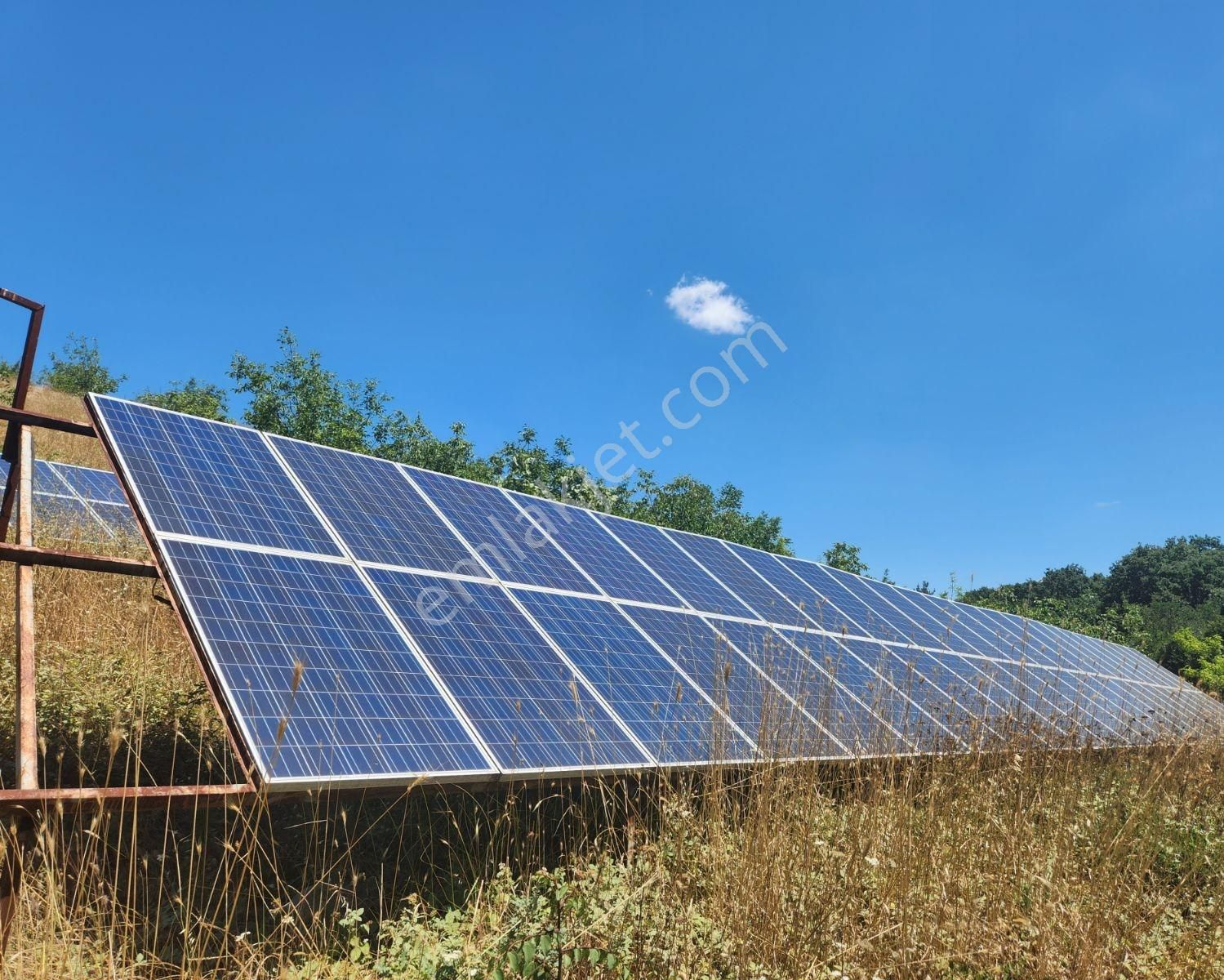 Çanakkale Lapseki Karamusalar Satılık 143 Dönüm Tarla. - Görsel 9