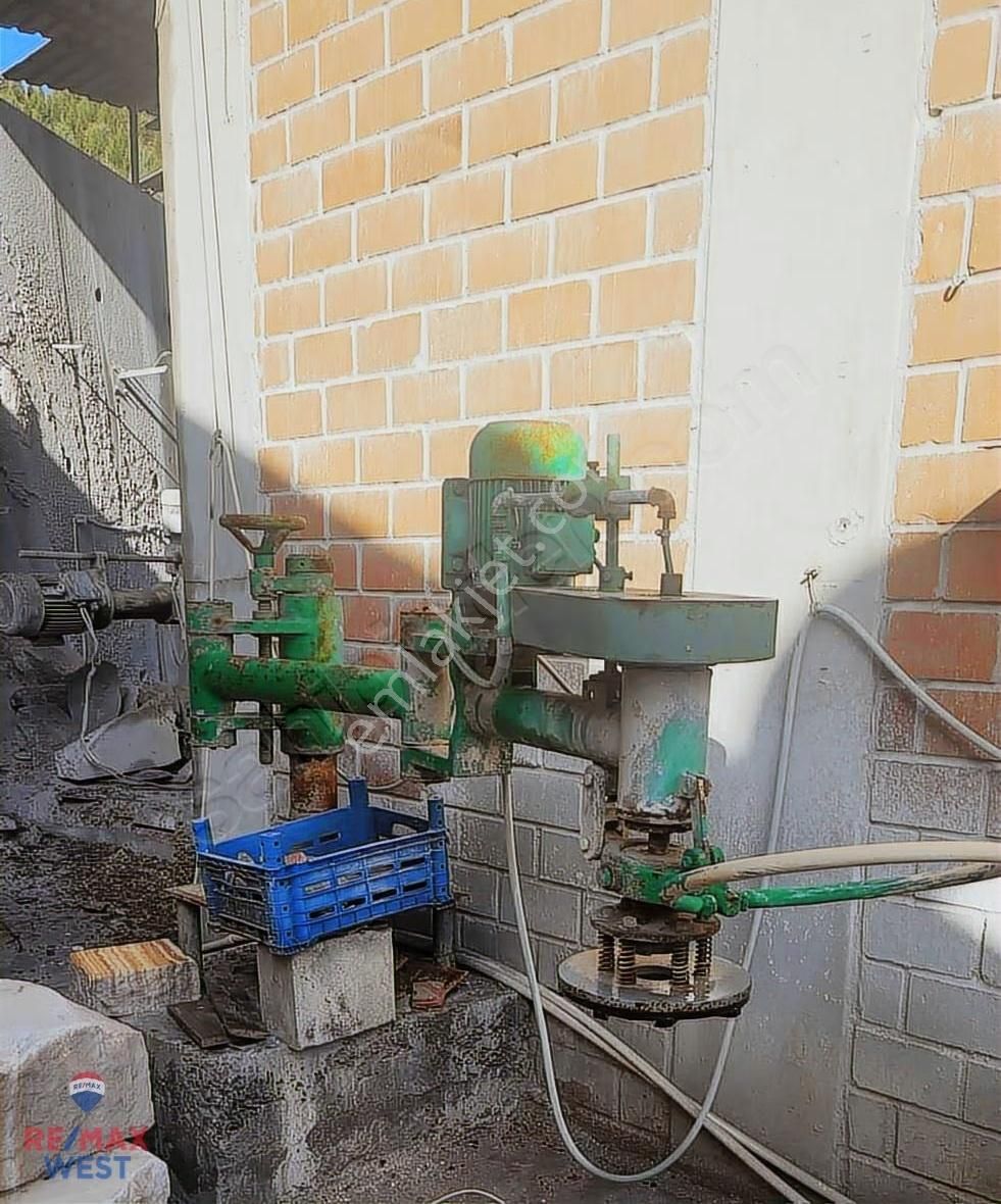 Döviz Getirili, Tam Teçhizatlı Peyzaj Ürünleri Üretim Tesisi - Görsel 10