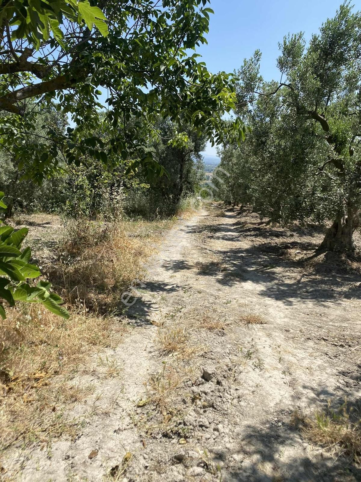Konaklıda Köye Yakın Yatırımlık Arazi - Görsel 12