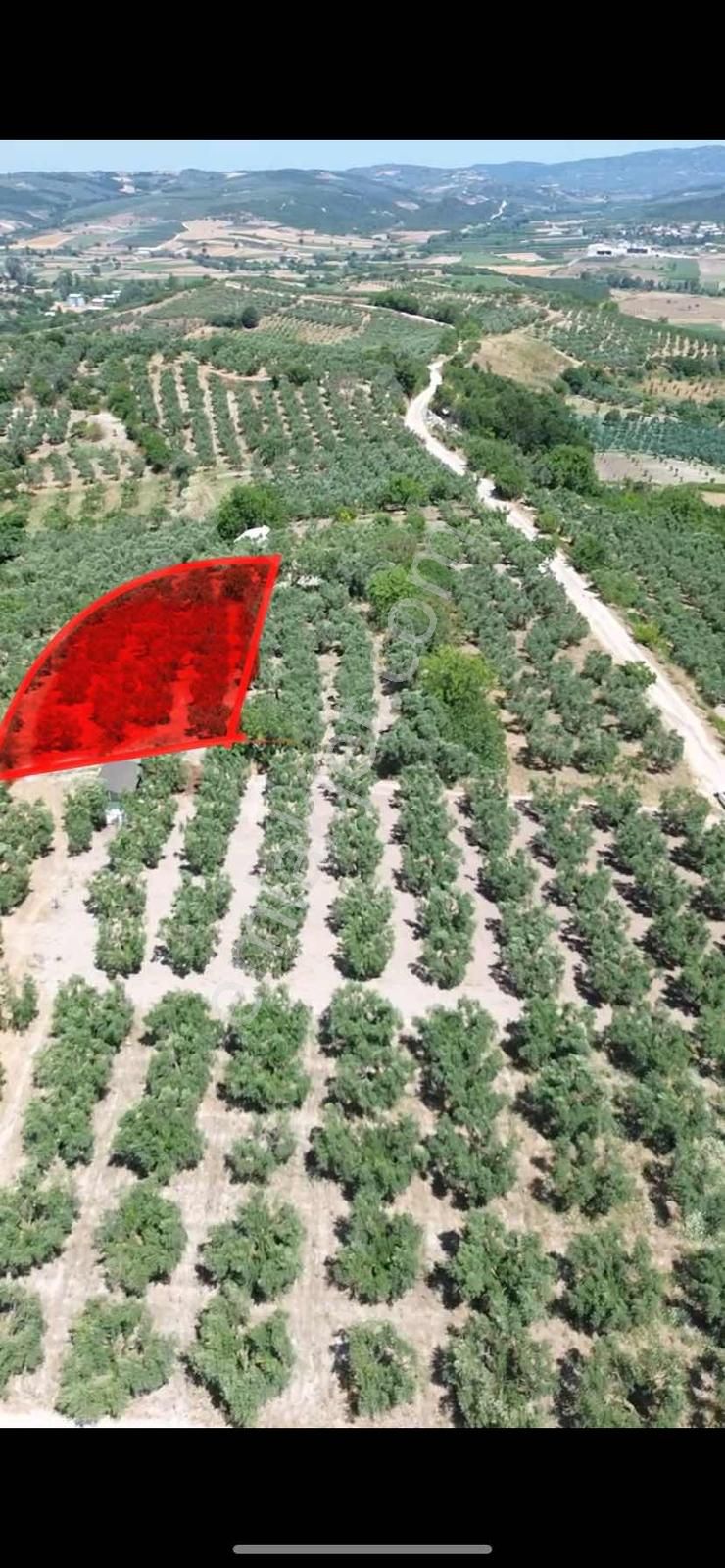 Konaklıda Köye Yakın Yatırımlık Arazi - Görsel 3