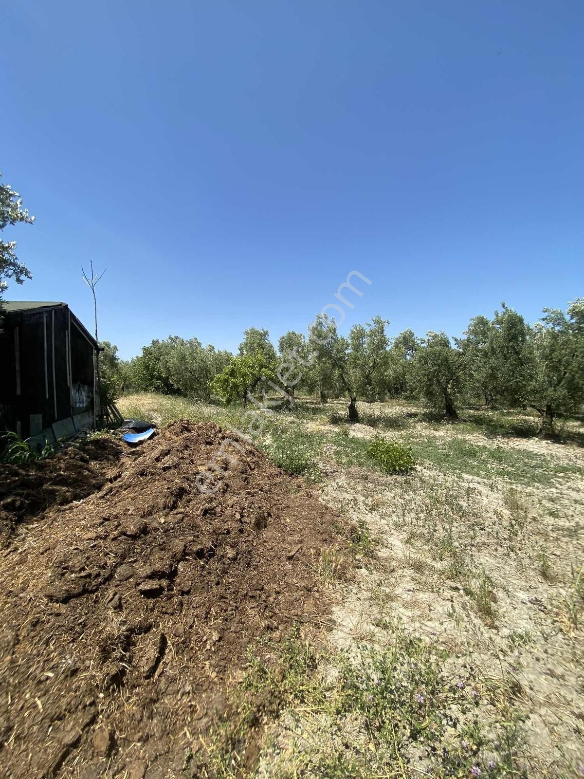 Konaklıda Köye Yakın Yatırımlık Arazi - Görsel 4