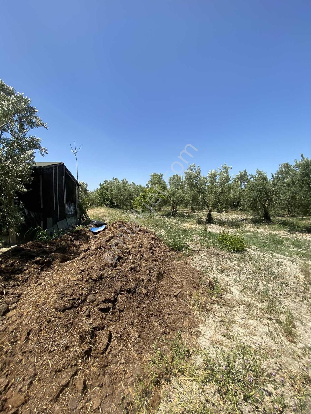 Konaklıda Köye Yakın Yatırımlık Arazi - Görsel 14