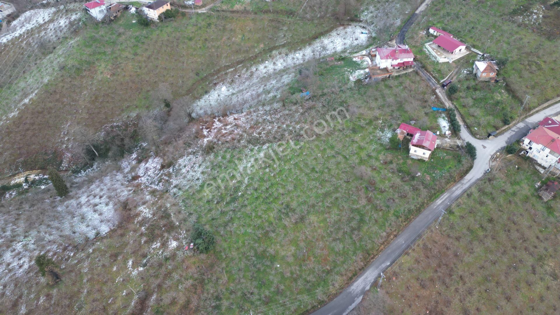 Trabzon Arsin'de Satılık Arsa - Görsel 3