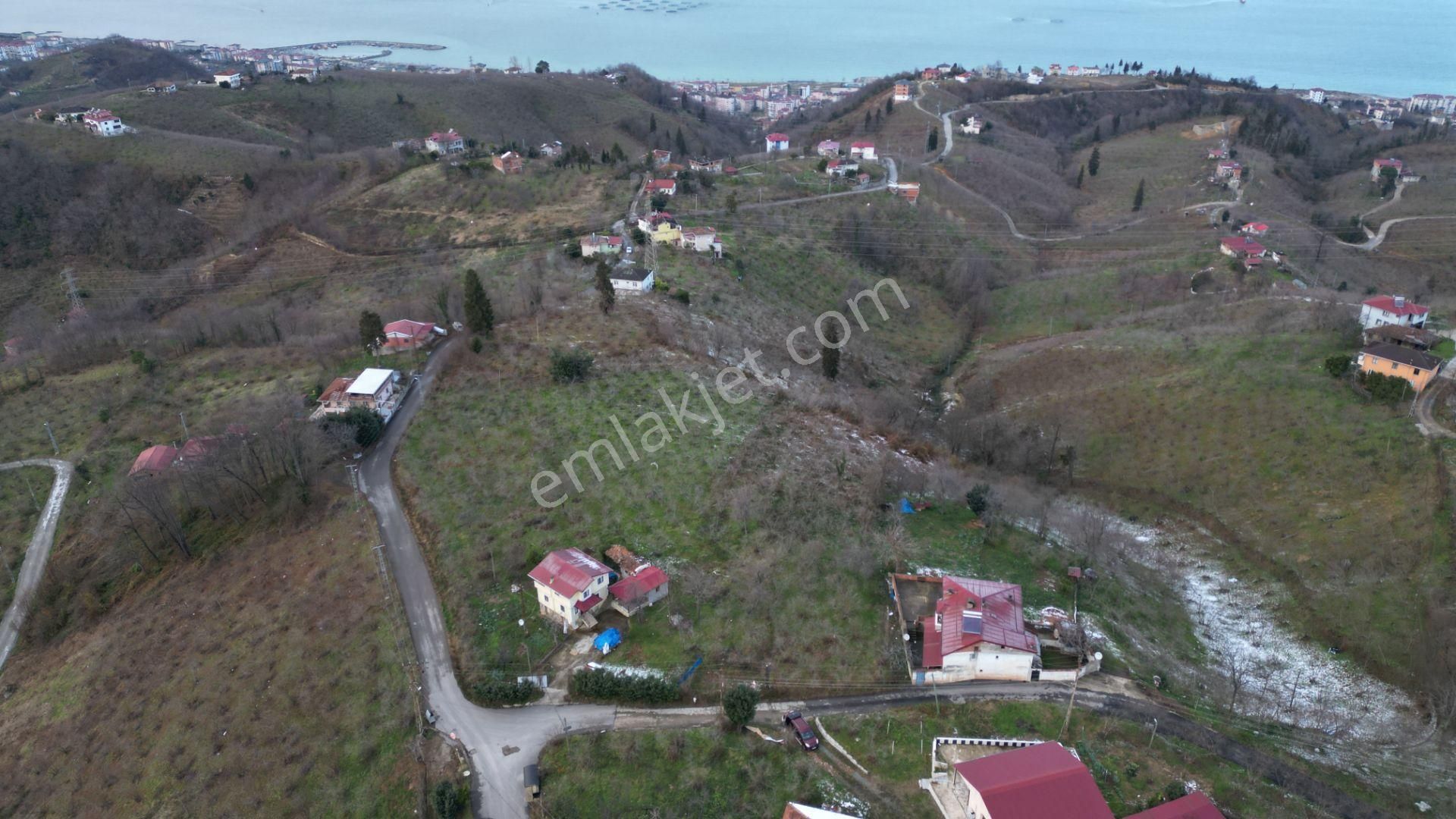 Trabzon Arsin'de Satılık Arsa - Görsel 2