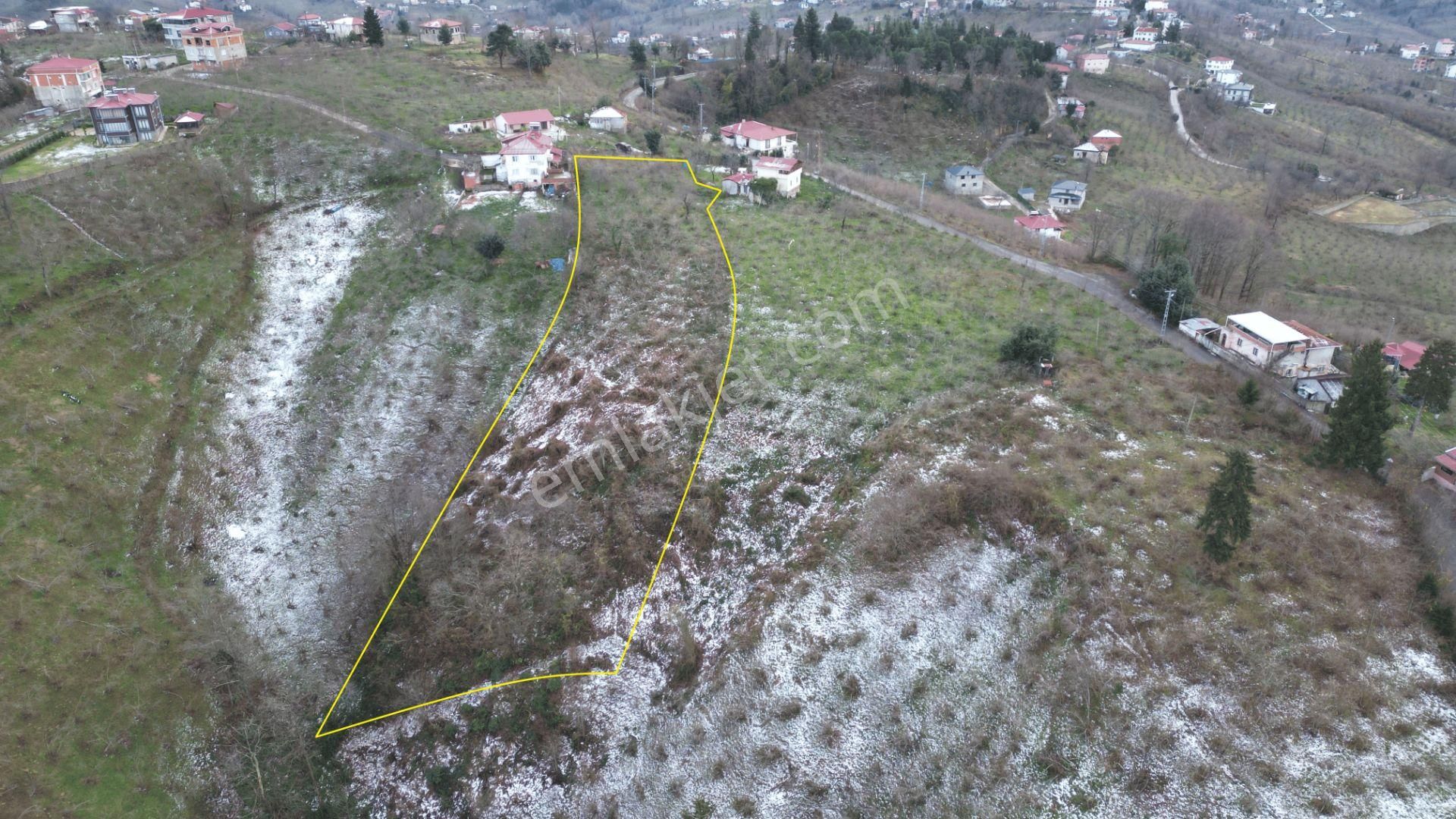 Trabzon Arsin'de Satılık Arsa