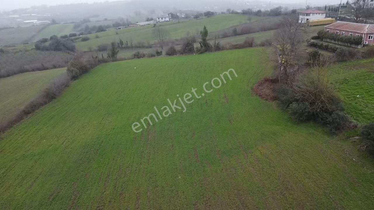 Karasu Darıçayırında Sanayi Alan Lejantında Satılık Tarla - Görsel 9
