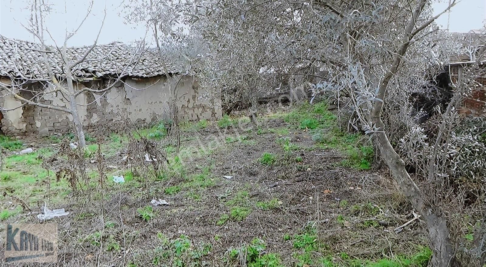 Göl Manzaralı Eski Kerpiç Ev - Görsel 4