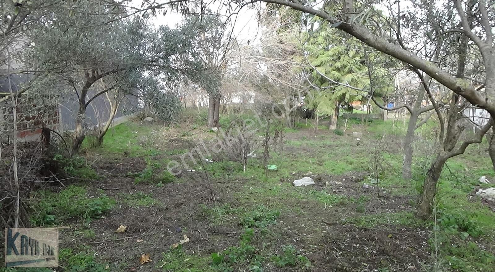 Göl Manzaralı Eski Kerpiç Ev - Görsel 19