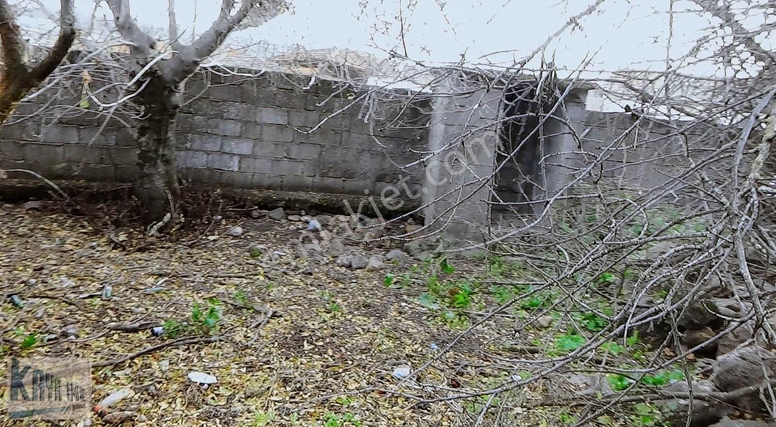 Göl Manzaralı Eski Kerpiç Ev - Görsel 2