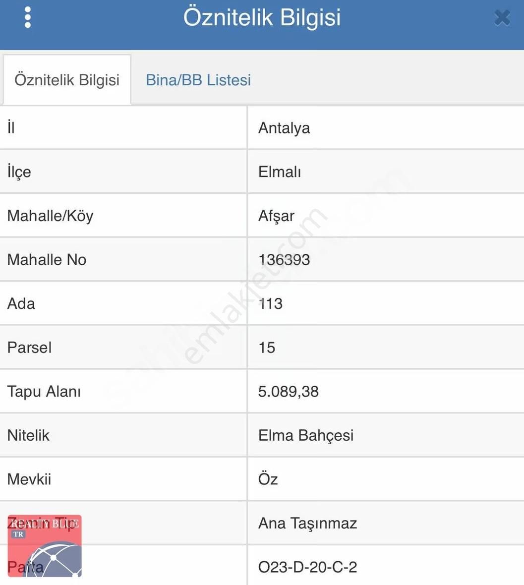 Antalya Elmalı Da 5089 M2 Satılık Elma Bahçesi - Görsel 2