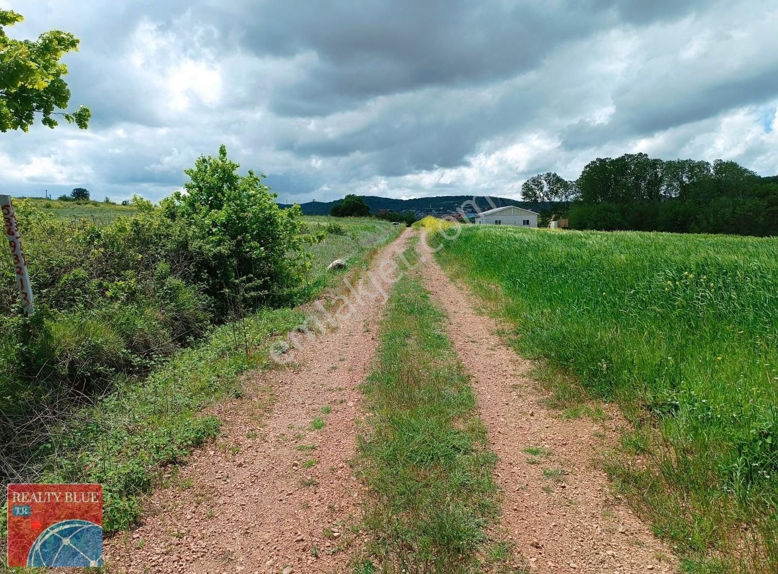 Körfez Kutluca Köyünde Satılık %5 İmarlı Arsa - Görsel 4